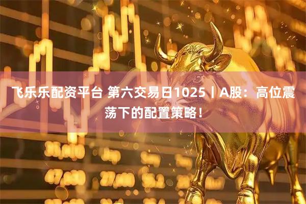 飞乐乐配资平台 第六交易日1025丨A股：高位震荡下的配置策略！
