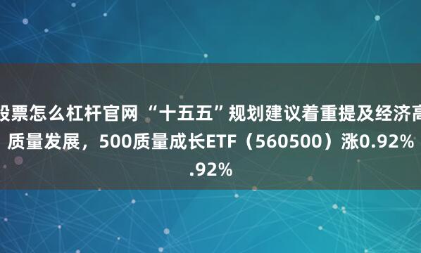 股票怎么杠杆官网 “十五五”规划建议着重提及经济高质量发展，500质量成长ETF（560500）涨0.92%