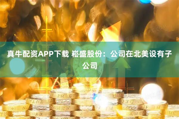 真牛配资APP下载 崧盛股份：公司在北美设有子公司