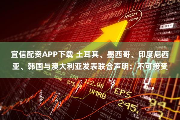 宜信配资APP下载 土耳其、墨西哥、印度尼西亚、韩国与澳大利亚发表联合声明：不可接受
